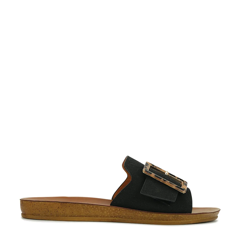 Braz  Slides