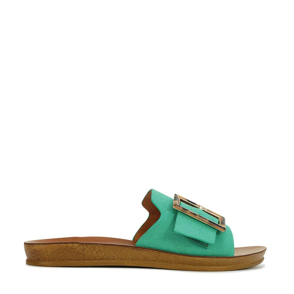 Braz  Slides