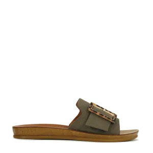 Braz  Slides