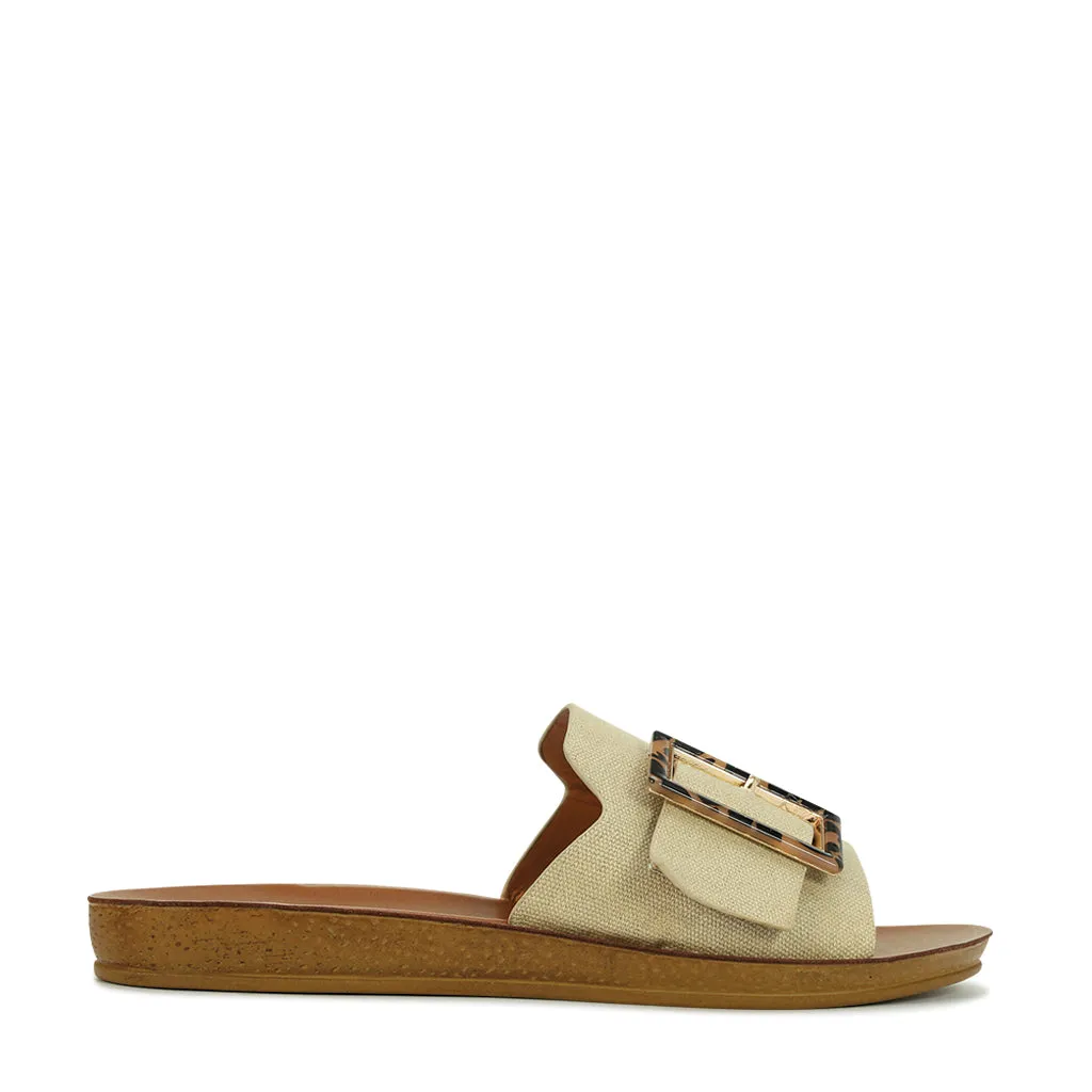 Braz  Slides