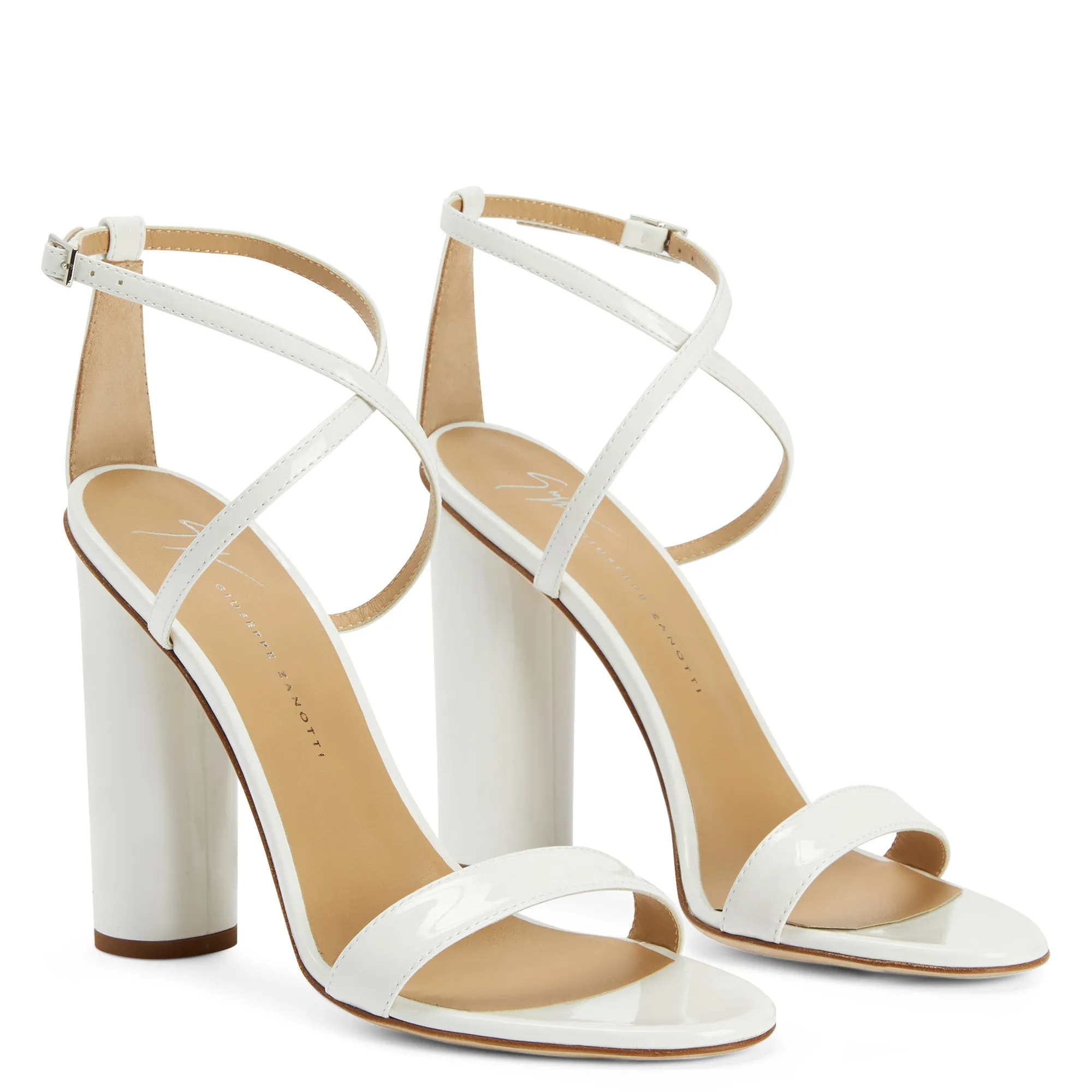 Giuseppe Zanotti Tara