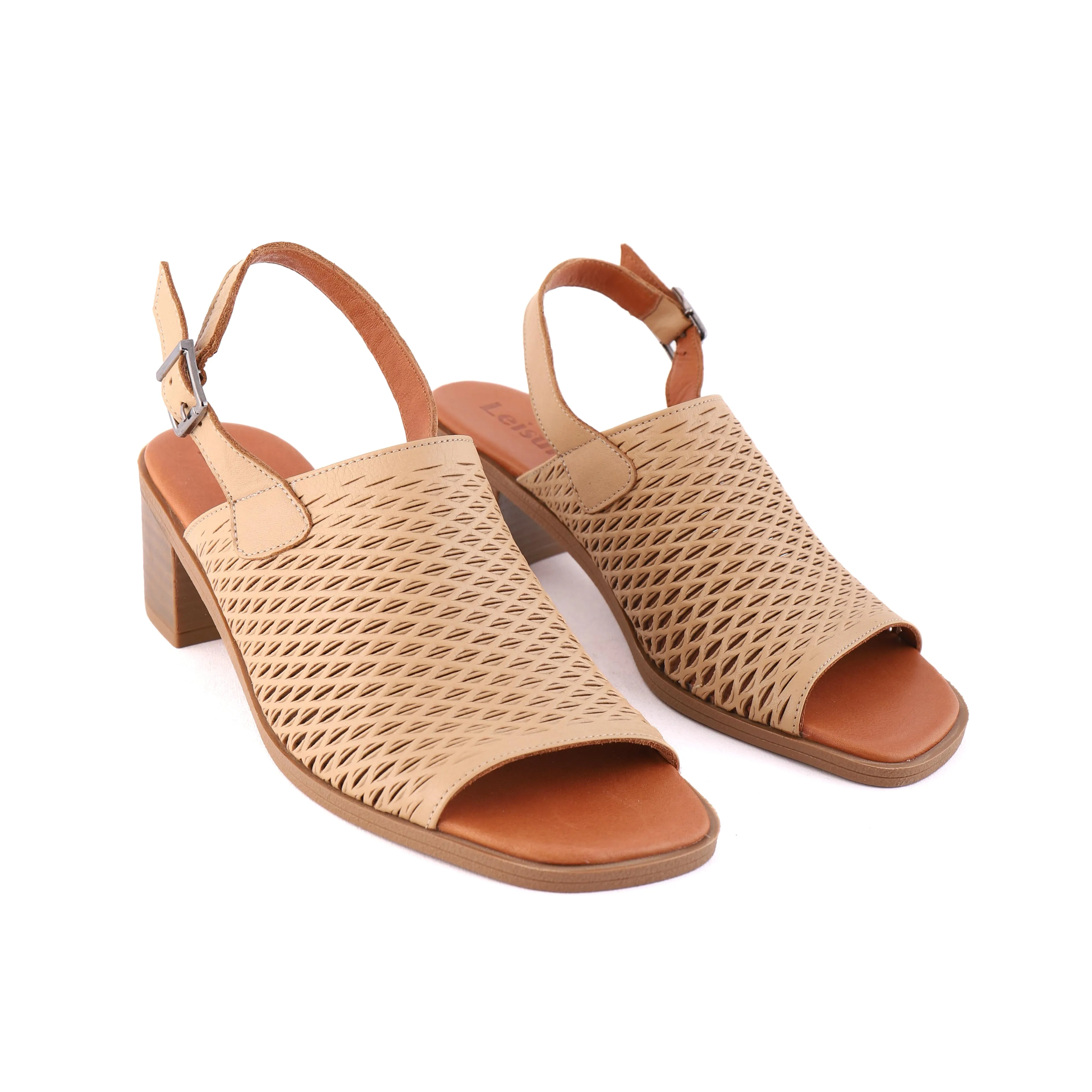 ROBERTA Camel