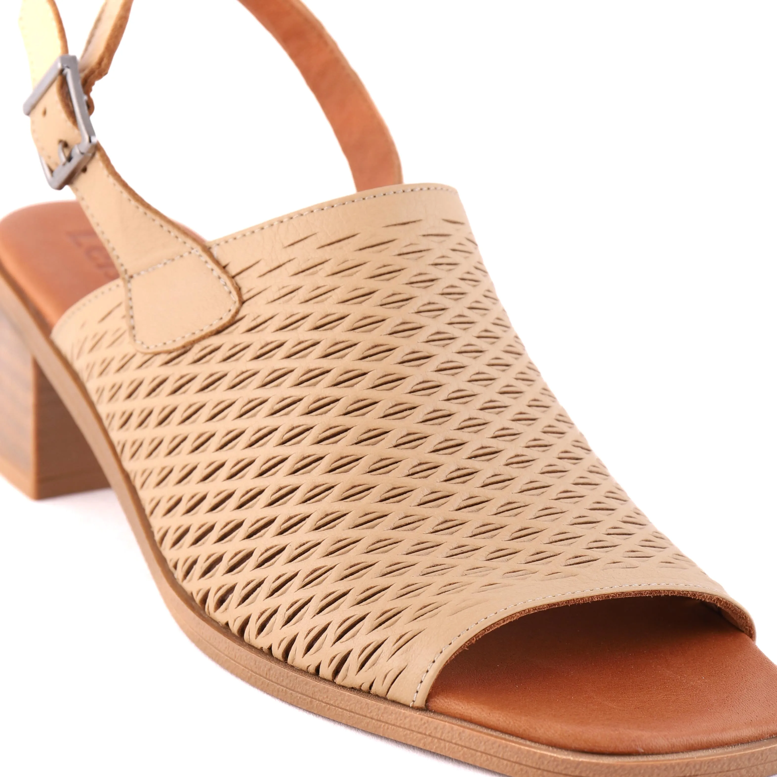 ROBERTA Camel