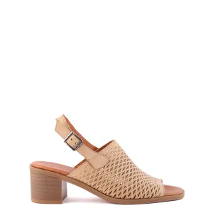 ROBERTA Camel
