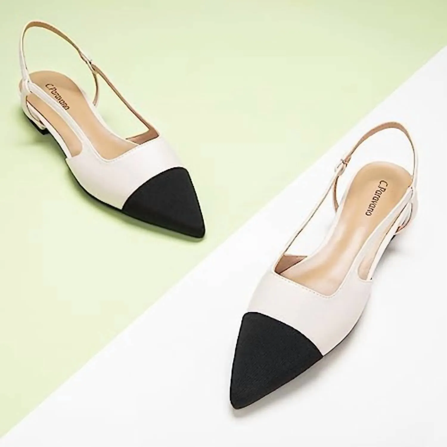 Women's Slingback Pointed Toe Flat Shoes In Black And White